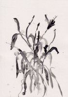 http://www.soerenhiob.com/files/dimgs/thumb_0x200_4_99_963.jpg