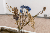 http://www.soerenhiob.com/files/gimgs/th-70_HFE_1505.jpg