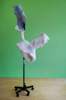 http://www.soerenhiob.com/files/gimgs/th-83_-Daniela-Wolf-01004.jpg